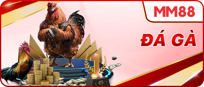 đá gà mn88.today